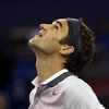 Federer lại gây thất vọng. (Nguồn: AP)