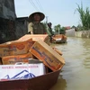 Những chuyến hàng chở nhu yếu phẩm đến cho bà con vùng ngập lụt. (Ảnh: Sơn Bách/ Vietnam+)