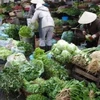 Càng sát Tết, giá các loại rau xanh quả tăng giá mạnh do trời lạnh. (Nguồn: Internet)
