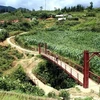 Cầu treo tại thôn Sả Xéng, xã Tả Phìn được đầu tư từ nguồn vốn của Chương trình 135. (Ảnh: Thanh Tùng/TTXVN)