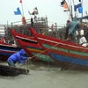 Neo đậu tàu thuyền vào nơi an toàn tại Hà Tĩnh, sáng nay 24/8. (Nguồn: Internet)