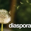 Mạng xã hội mới “Diaspora.” (Nguồn: Imternet)
