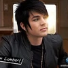 Adam Lambert đang phải đối mặt với sự phản đối kịch liệt từ đảng đạo Hồi đối lập Malaysia. (Nguồn: Internet)