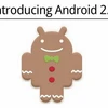 Gingerbread mang lại nhiều cải tiến đáng giá cho người dùng Android. (Nguồn: Internet) 