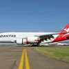 Máy bay Airbus A-380 của hãng Qantas tại sân bay quốc tế Sydney. (Nguồn: AFP/TTXVN)