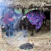 Người dân Lạng Sơn giữ ấm cho gia súc. (Ảnh Khánh Trung/TTXVN) 