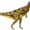 Loài khủng long Pachycephalosaurus. (Nguồn: Internet) 