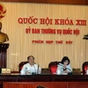 Chủ tịch Quốc hội Nguyễn Sinh Hùng phát biểu ý kiến tại phiên họp, ngày 13/4 vừa qua. (Ảnh: Nguyễn Dân/TTXVN)