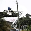 Gia cố đường điện sau khi bão Isaac quét qua Florida Keys ở Key West, bang Florida ngày 27/8. (Ảnh: AFP/TTXVN)