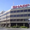 Hãng sản xuất đồ điện tử Sharp. (Nguồn: bgr.com)
