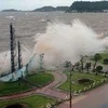 Sóng lớn đánh liên tiếp vào kè Đồ Sơn, thành phố Hải Phòng. (Ảnh: Quang Quyết/TTXVN)