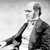 Ở tuổi 51, Charles Darwin xuất bản cuốn sách về nguồn gốc các loài. (Ảnh: vi.wikipedia.org)