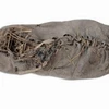 Chiếc giày da có niên đại khoảng 5.500 năm. (Nguồn: Reuters)
