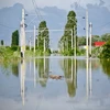 Cảnh ngập lụt ở Sendreni, Romania ngày 29/6. (Nguồn: AFP/TTXVN)