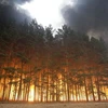 Cháy rừng gần làng Dolginino, Nga hôm 4/8. (Nguồn: AFP/TTXVN)