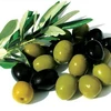 Quả olive. Ảnh minh họa. (Nguồn: Internet)