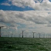 Một trang trại điện gió trên biển. Ảnh minh họa. (Nguồn: AFP/TTXVN)