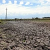 Cảnh khô nẻ do hạn hán ở Treinta y Tres, Uruguay. (Nguồn: THX/TTXVN)