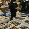 Tại chợ cá Tsukiji ở Tokyo ngày 23/3. (Nguồn: AFP/TTXVN)