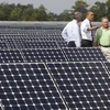 Một trung tâm năng lượng Mặt Trời ở Florida. Ảnh minh họa. (Nguồn: AFP/TTXVN)