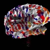 Bản Atlas não người. (Nguồn: brain-map)