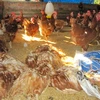 Gà bị chết do nhiễm cúm A H5N1 của một gia đình Kon Tum. (Ảnh: Trần Lê Lâm/TTXVN)
