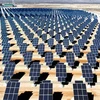 Điện mặt trời có thể sẽ là hướng đi mới cho ngành năng lượng Nhật Bản. (Nguồn: PV/Vietnam+) 