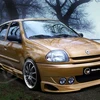 Renault Clio. (Nguồn: Internet)