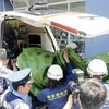 Chuyển nạn nhân lên xe cứu thương. (Nguồn: Cao Phong/Vietnam+)