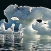 Băng tại Bắc Cực đang tan ngày một nhanh. Ảnh minh họa. (Nguồn: Internet)