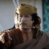 Những thực thể có liên hệ với ông Muammar Gaddafi đều bị áp đặt lệnh trừng phạt. (Nguồn: Internet)