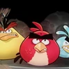 Độ “hot” của game Angry Birds lan rộng ra cả thế giới. (Nguồn: Internet) 