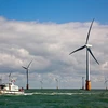 Các cánh quạt trong trang trại điện gió trên biển ở Đông Nam nước Anh. (Nguồn: AFP/TTXVN)