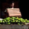 Người dân Cuba chuyển hoa quả tại thủ đô Havana ngày 12/7. AFP/TTXVN