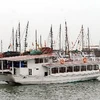 Tàu du lịch được sơn trắng để phục vụ khách thăm quan Vịnh. (Ảnh: Danh Lam/TTXVN)