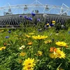 Sân vận động Olympic tại London, nơi sẽ diễn ra lễ khai mạc Olympic London 2012. (Nguồn: THX/TTXVN)
