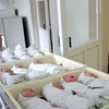Những em bé sơ sinh tại một bệnh viện phụ sản. (Nguồn: Ria Novosti)