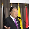 Tổng thống Gruzia Saakasvili tuyên bố sẽ không để tình trạng bạo lực ở các nước láng giềng lan sang Gruzia. Ảnh minh họa. (Nguồn: THX/TTXVN)