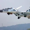 Máy bay chiến đấu Su-30 của Nga. (Nguồn: RIA Novosti)