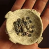 Đồ tạo tác thuộc thời kỳ đồ đá được phát hiện tại Ein Zippori, bao gồm bộ sưu tập những hột đá màu sắc. (Nguồn: Israel Antiquities Authority) 