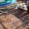 Chăm sóc cá điêu hồng nuôi trong lồng, bè dọc sông Tiền. (Ảnh: Thanh Vũ/TTXVN)