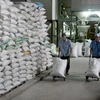 Nhập khẩu gạo vào kho chuẩn bị cho xuất khẩu tại Công ty lương thực long An. (Ảnh: Đình Huệ/TTXVN)