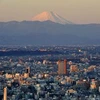 Toàn cảnh thủ đô Tokyo ngày. (Nguồn: AFP/TTXVN)