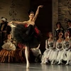 Diễn vở Hồ Thiên nga tại nhà hát nhà hát ballet Mikhailovsky. (Nguồn: guardian.co.uk)