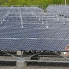 Các tấm pin năng lượng mặt trời tại Nhà máy điện năng lượng mặt trời Miravalles. (Nguồn: AFP/TTXVN)