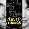 Poster của bộ phim “Silver Linings Playbook”. (Nguồn: shemoviegeek.com)