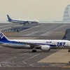 Máy bay Boeing 787 Dreamliner của hãng hàng không ANA tại sân bay Haneda ở Tokyo. (Nguồn: AFP/TTXVN)