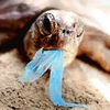 Tình trạng ô nhiễm đại dương đe dọa sự sinh tồn của nhiều loài động vật. (Nguồn: oceanicdefense.blogspot.com)