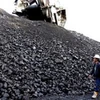 Công nhân Indonesia băng qua đống than đá ở mỏ than Tambang Batubara Bukit Asam ở Nam Sumatra. (Nguồn: EPA)