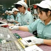 Sản xuất sản phẩm điện tử ở nhà máy Panasonic tại khu công nghiệp Thăng Long, Hà Nội. (Ảnh: Trần Việt/TTXVN)